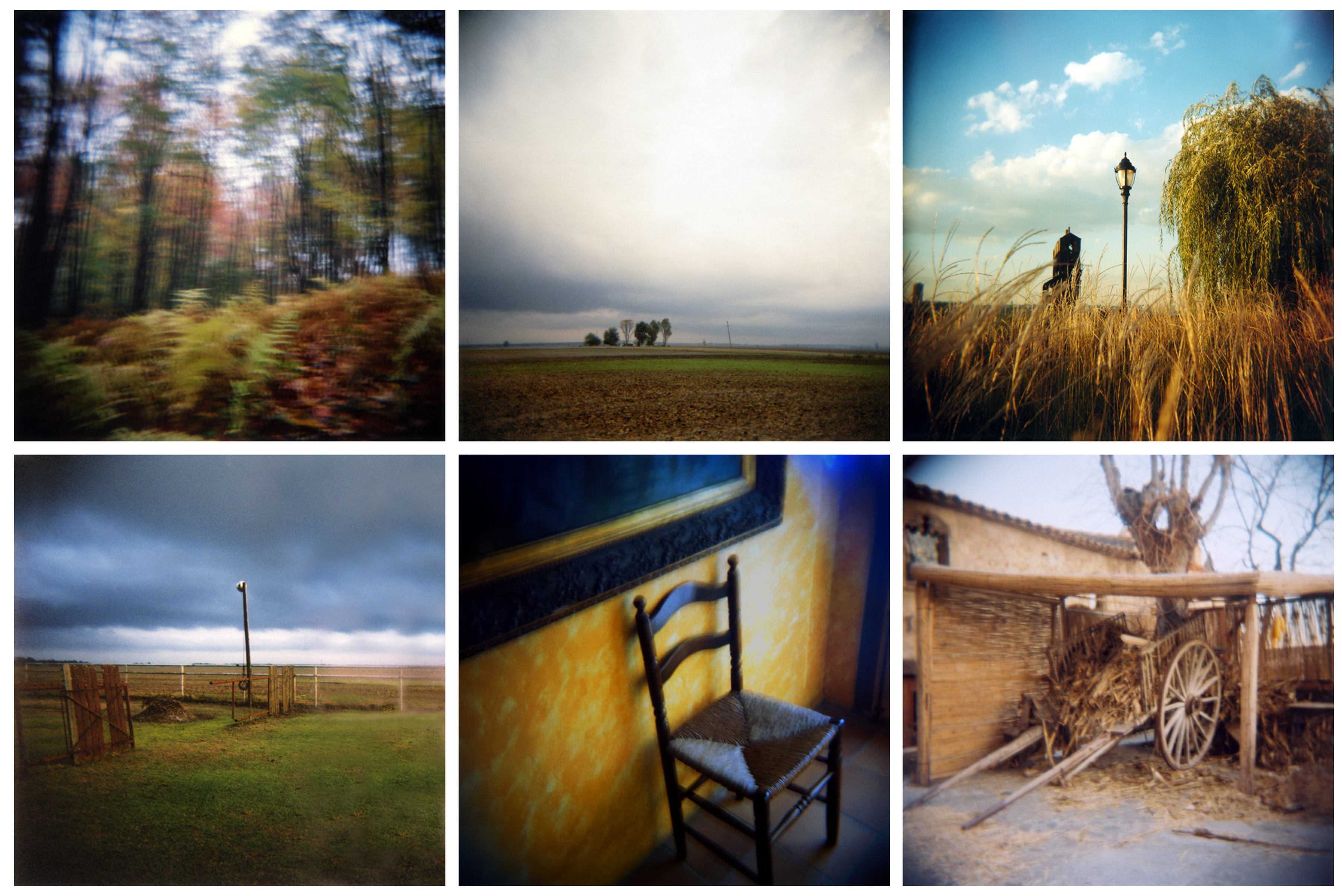 holga-3